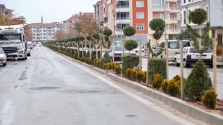 Yeniden Yeşil Olmak İçin