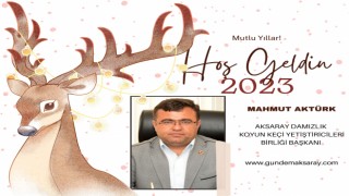 Yılbaşı Kutlama İlanlar