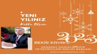 Yılbaşı Kutlama İlanlar