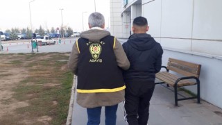 Mahalle Sakinlerinin Uykularını Kaçırmışlardı