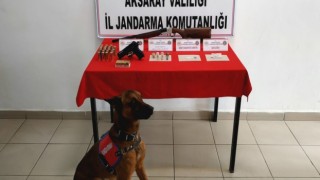 Jandarma Zehir Avında: 4 Gözaltı
