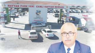 “Kurbanlık Sıkıntısı Yok”