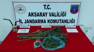 Jandarma Uyuşturucu Savaşında Geri Adım Atmıyor