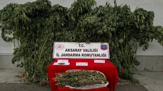 Uyuşturucu İmalathanesine Operasyon
