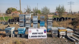 Boyalı’dan Kovan Çalan Hırsızlar Avanos’ta Yakalandı