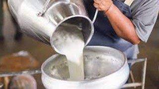 Kayan “Çiğ Süt Fiyatları Acilen Güncellenmeli”