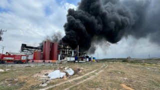 OSB’deki Fabrika Alevlere Teslim Oldu