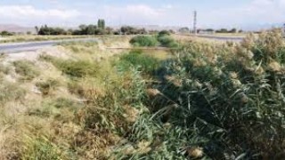 Bu Kanal Sizi Hiç mi Rahatsız Etmiyor