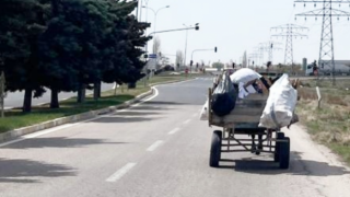 Sayıları Yeniden Artmaya Başladı