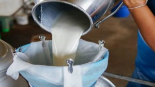 “Biz Yangın Var Diyoruz, Yetkililer Ateşle Müdahale Ediyor”