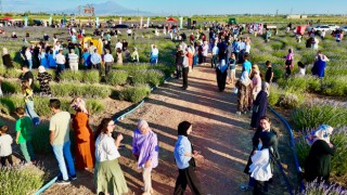 Lavanta Bahçesi’nin Sezon Açılışı, Aşure İkramı İle Gerçekleştirildi