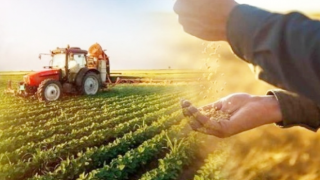 Tarımsal Üretimde Maliyet Artışı Yüzde 43,58’e Yükseldi