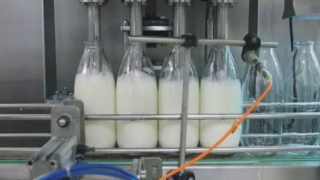 TÜİK “Toplanan İnek Sütü Azaldı”