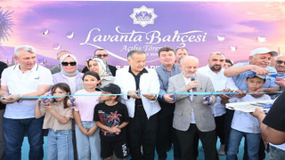 Aksaray'da Mor Mevsim Başladı
