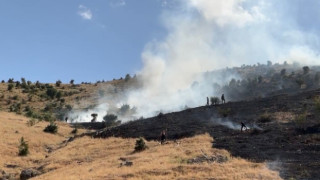 Aksaray'da Ot Yangını Paniği!